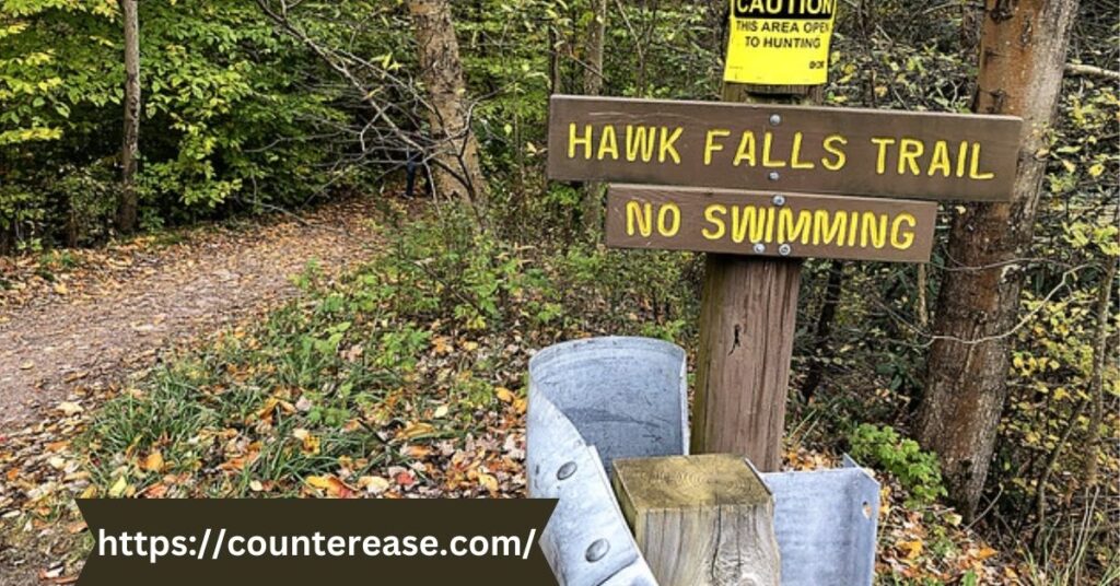 Discovering the Trail to Hawk Falls
