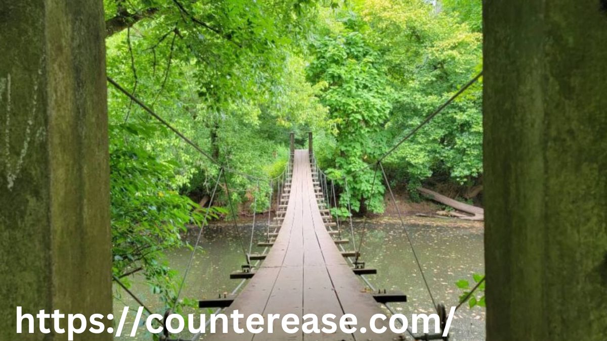 Hike to the Swinging Bridge in Princeton’s Institute Woods