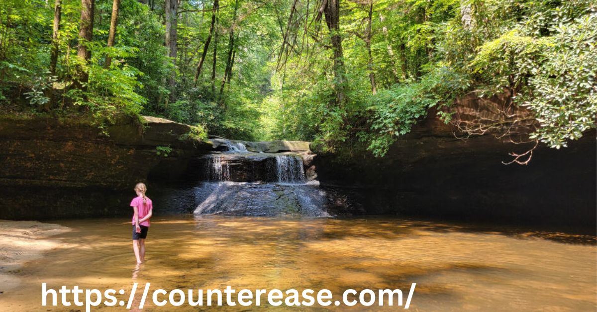 Hiking Rock Bridge Trail to Creation Falls in Red River Gorge