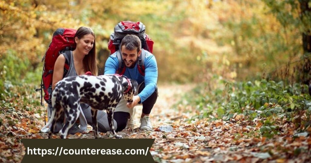 Pet-Friendly Hiking Guidelines Hawk Falls Trail at Hickory Run State Park