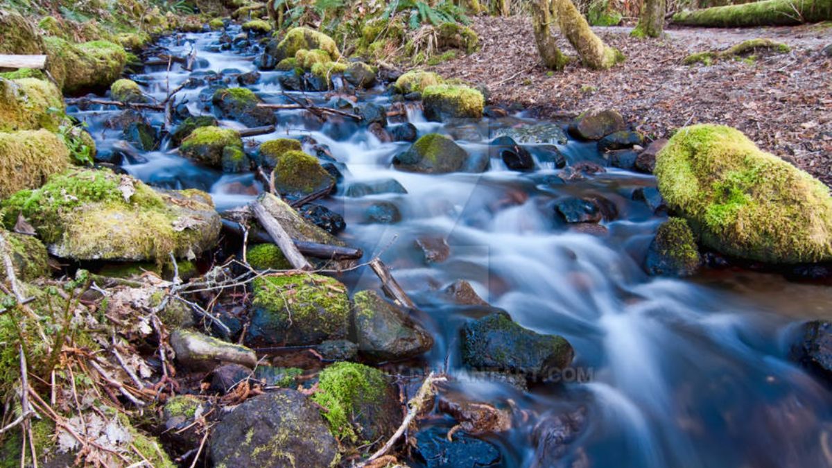 Discover Chimney Top Rock and Princess Arch in Red River Gorge