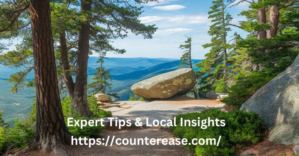 Expert Tips & Local Insights