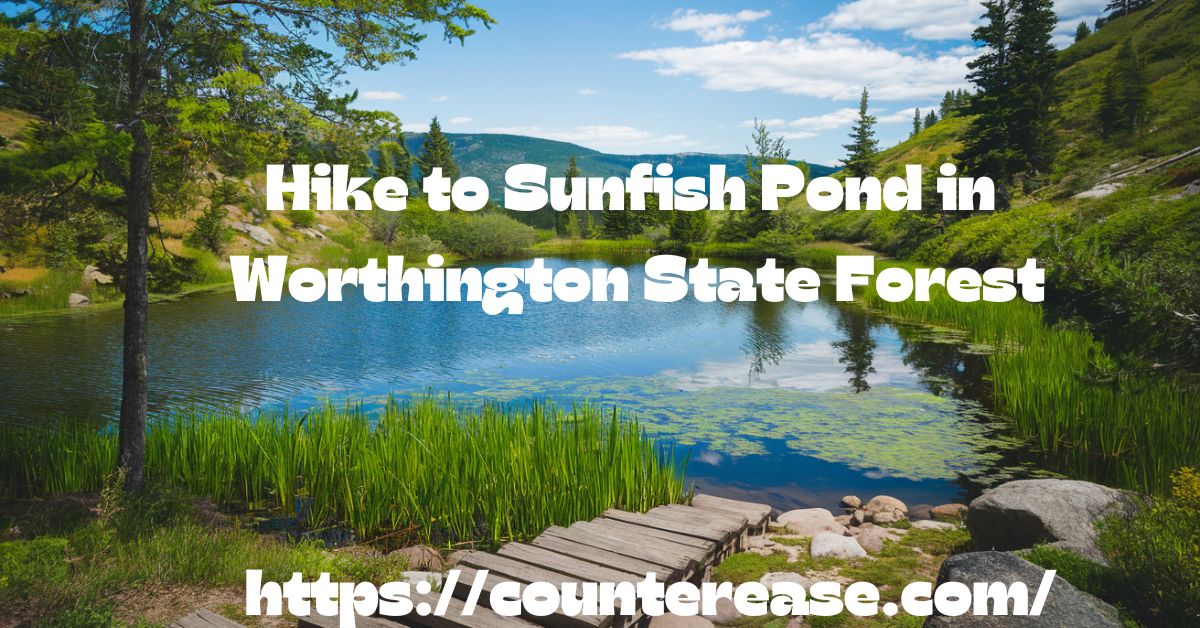 Hike to Sunfish Pond in Worthington State Forest