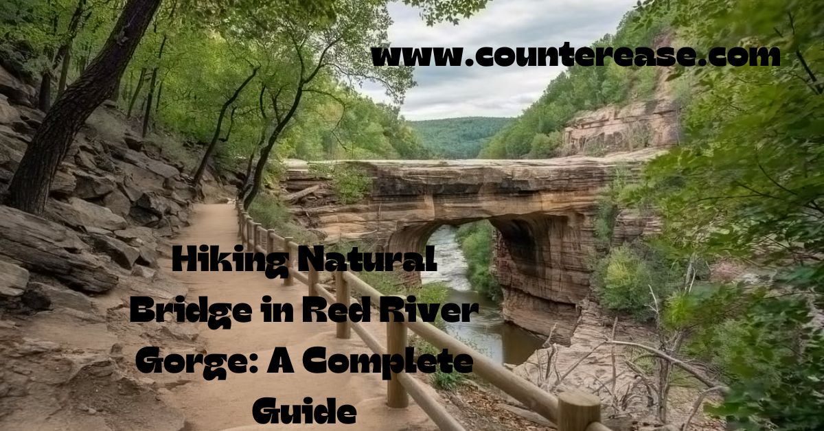 Hiking Natural Bridge in Red River Gorge A Complete Guide