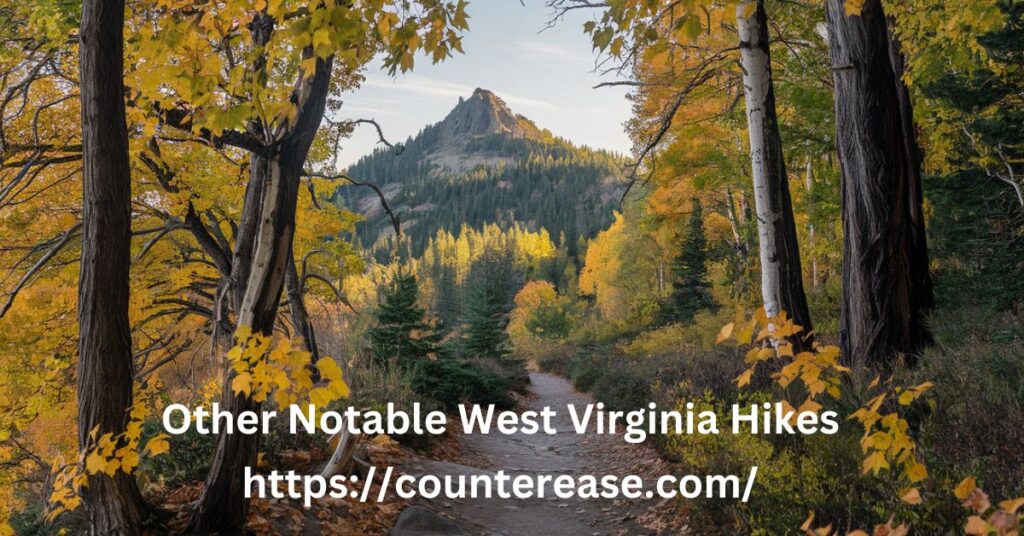 Other Notable West Virginia Hikes