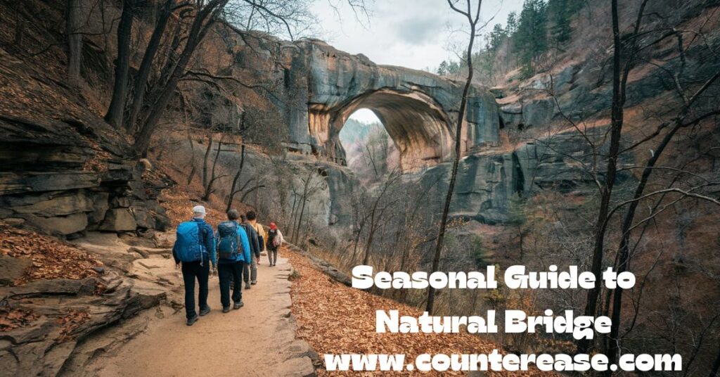 Seasonal Guide to Natural Bridge