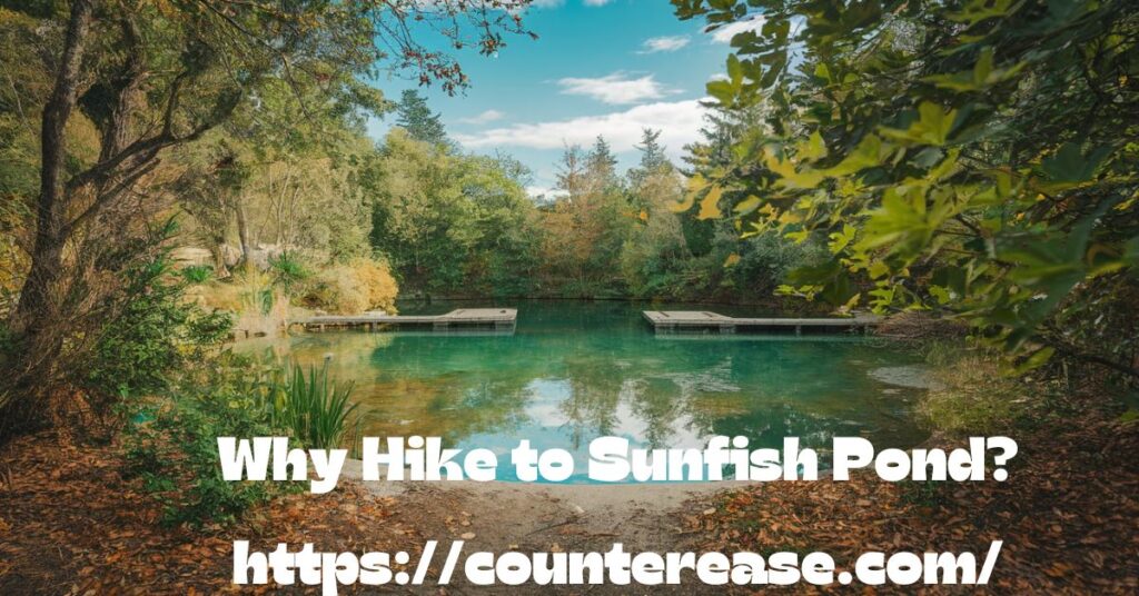 Why Hike to Sunfish Pond?