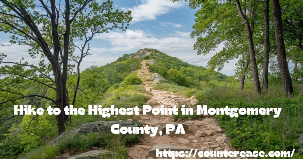 Hike to the Highest Point in Montgomery County, PA