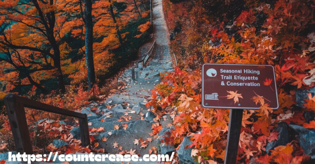 Nearby Attractions & Extended Adventures