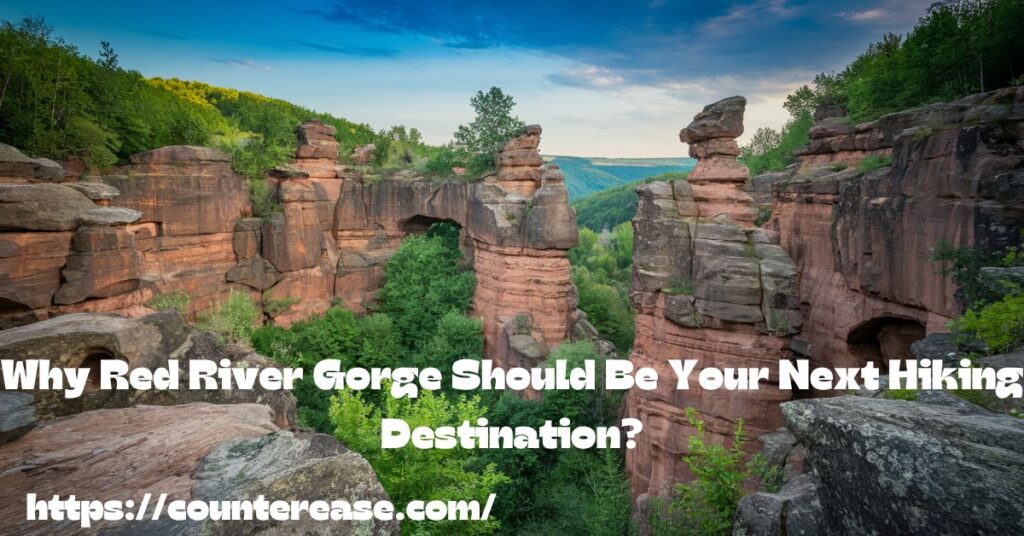 Why Red River Gorge Should Be Your Next Hiking Destination